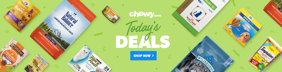 Sister program connects Cherokees across country